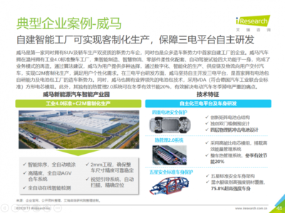 2025年新能源市場展望 威馬等企業(yè)潛力無限，技術(shù)咨詢服務(wù)助力行業(yè)騰飛